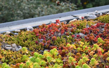 the cost of New Beckenham green roof installation