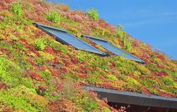 New Beckenham living roof systems